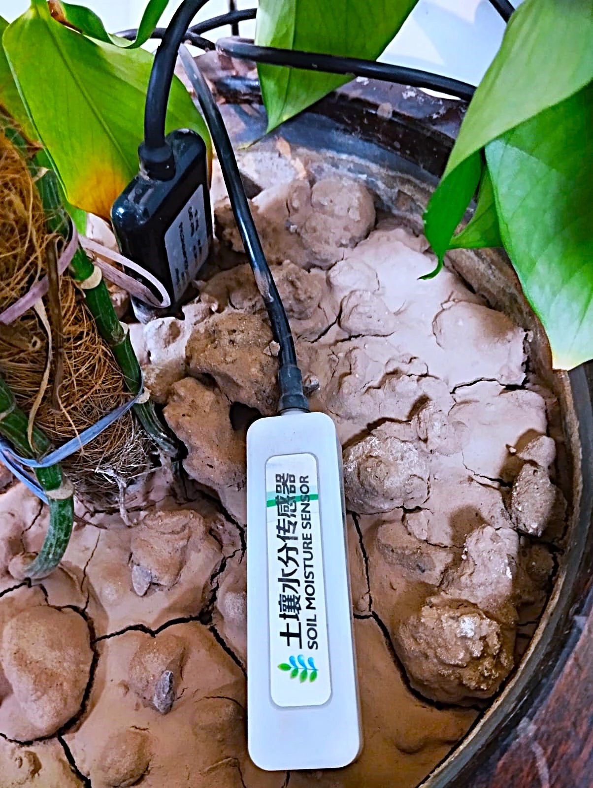 Soil Moisture Sensing